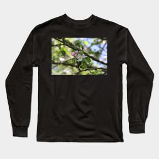 Apple Blossom Long Sleeve T-Shirt
